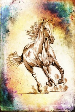 serbest el at baş sanat illüstrasyon