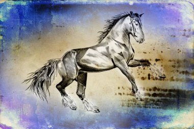 serbest el at baş sanat illüstrasyon