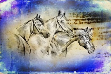 serbest el at baş sanat illüstrasyon