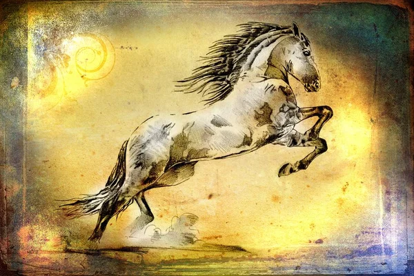 Freehand Häst Huvud Art Illustration — Stockfoto