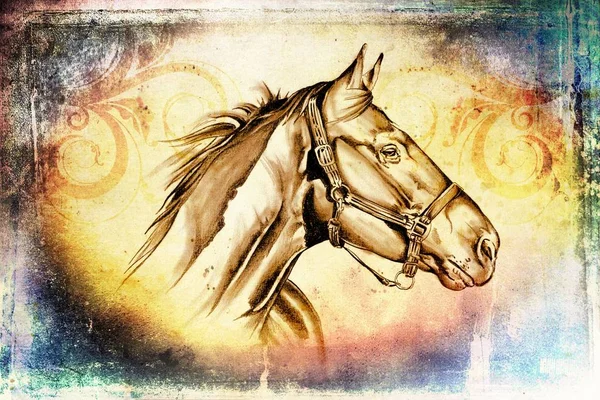 Mano Libera Cavallo Testa Arte Illustrazione — Foto Stock