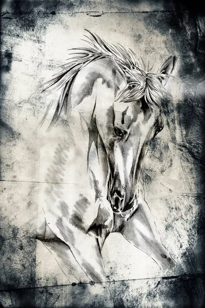 Freihand Pferdekopf Art Illustration — Stockfoto