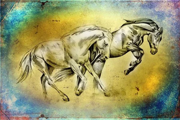 Ilustración Arte Cabeza Caballo Mano Alzada —  Fotos de Stock