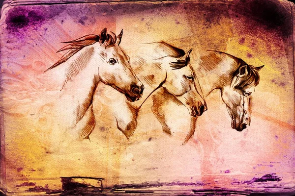 Freehand Häst Huvud Art Illustration — Stockfoto
