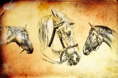 serbest el at baş sanat illüstrasyon