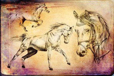 serbest el at baş sanat illüstrasyon