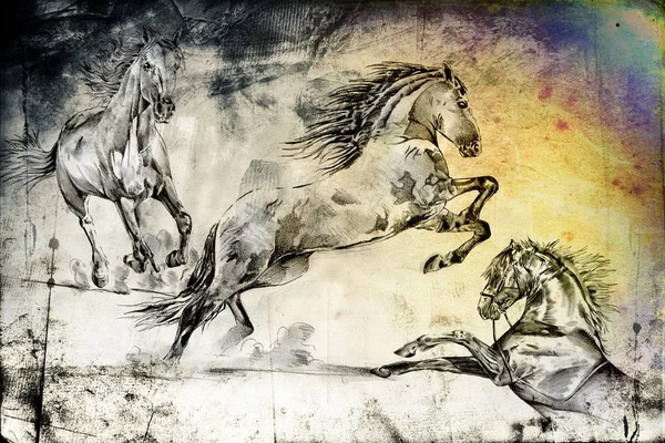 Вільний Кінь Голова Мистецька Ілюстрація — стокове фото