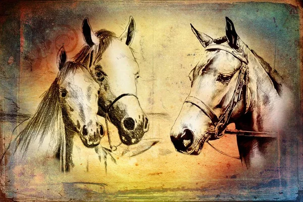 Mano Libera Cavallo Testa Arte Illustrazione — Foto Stock