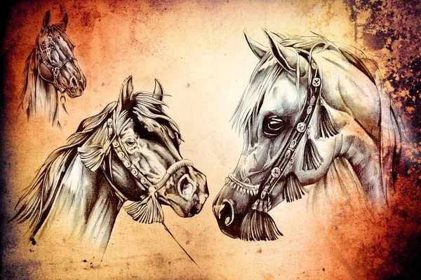 freehand horse head art illustration
