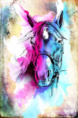 İyi bir Arap atı orijinal Yağlıboya Resim