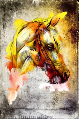 İyi bir Arap atı orijinal Yağlıboya Resim