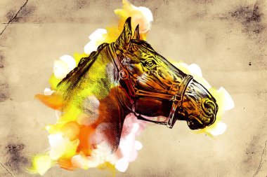 İyi bir Arap atı orijinal Yağlıboya Resim