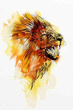 Aslan sanat çizim çizim