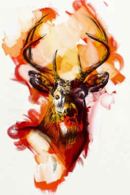 antique stag art drawing handmade nature clipart