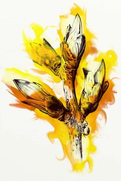 Fleurs Abstraites Peinture Huile Art Illustration — Photo