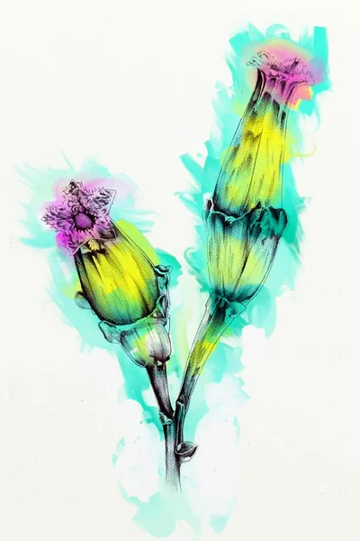Flores Abstractas Óleo Pintura Arte Ilustración — Foto de Stock