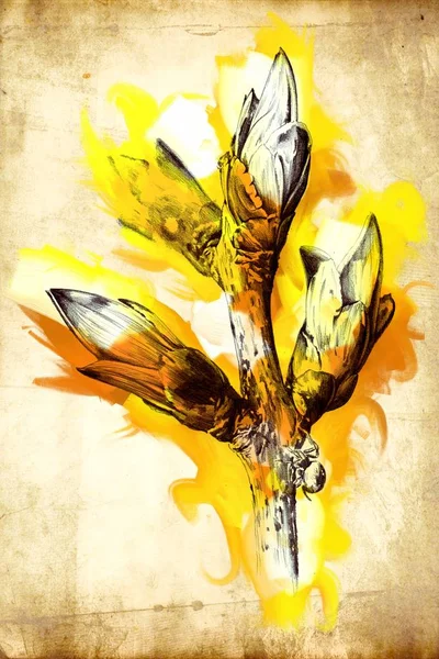 Abstrakt Blommor Oljor Målning Konst Illustration — Stockfoto