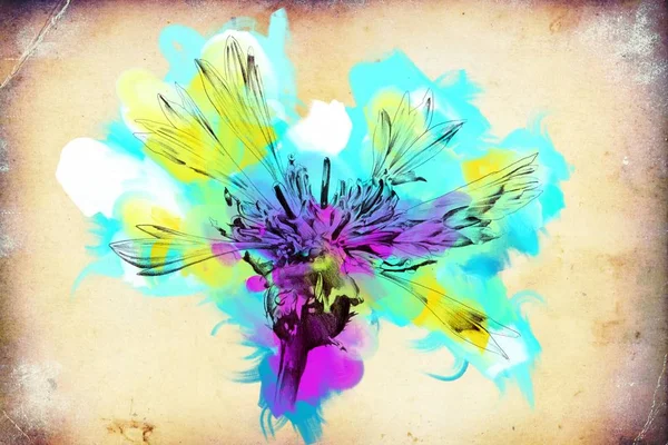 Абстрактні Квіти Олії Живопис Мистецтво Ілюстрація — стокове фото