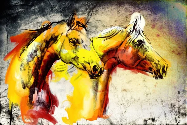 Original Oil Painting Fine Arabian Horse — Stock Photo, Image