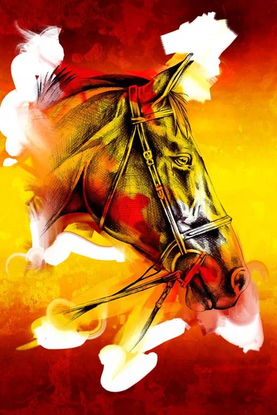 Origineel Olieverfschilderij Van Een Mooie Arabische Paard — Stockfoto