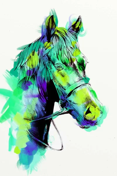 Pittura Olio Originale Bel Cavallo Arabo — Foto Stock