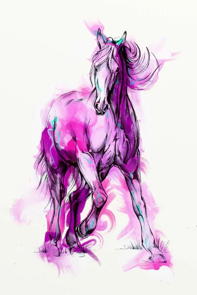 罰金のアラビアの馬の元の油絵 — ストック写真