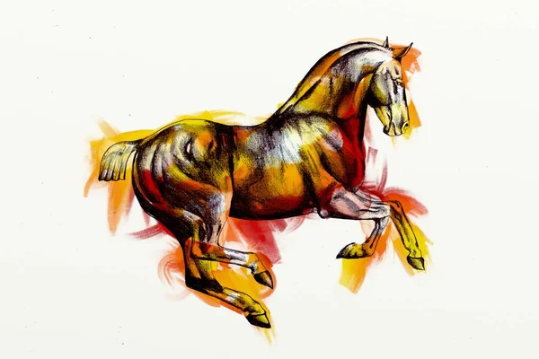 Pittura Olio Originale Bel Cavallo Arabo — Foto Stock