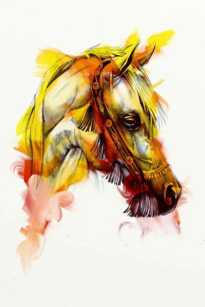Pintura Óleo Original Belo Cavalo Árabe — Fotografia de Stock