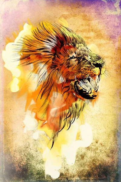 Lion Umění Ilustrace Kresba — Stock fotografie