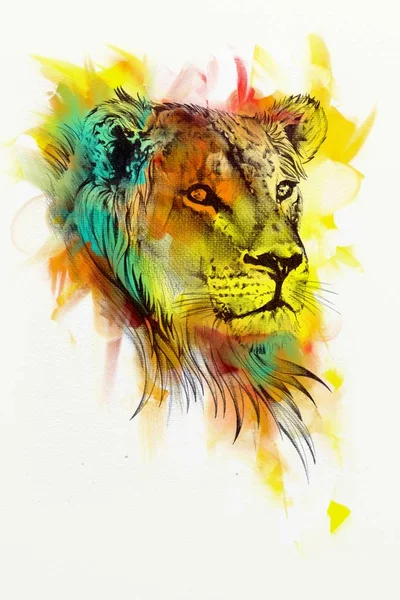 lion art illustration drawing