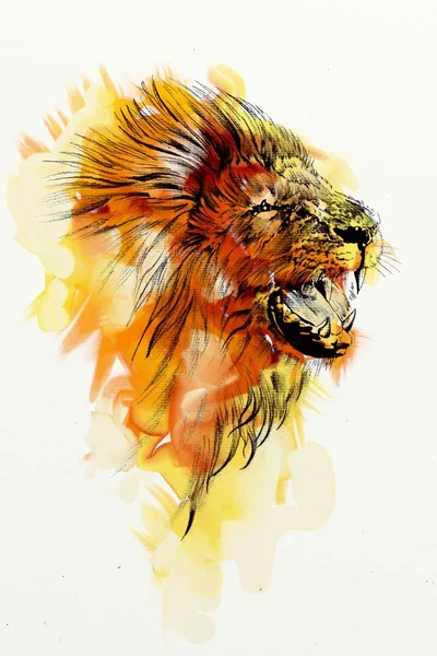 Lion Art Illustration Drawing — Stock Photo, Image