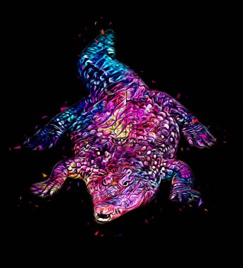 Timsah çizimi - sürüngen el çizimi, sanat çizimi