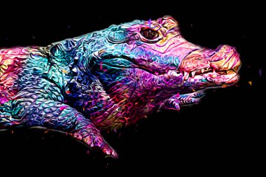 Timsah çizimi - sürüngen el çizimi, sanat çizimi