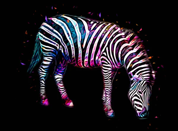 Tegning Zebra Skisse African Pattedyrillustrasjon – stockfoto