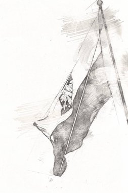 Polonya, izole edilmiş arkaplan resimlerine bayrak sallıyor.