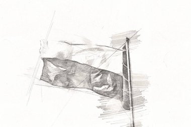 Polonya, izole edilmiş arkaplan resimlerine bayrak sallıyor.