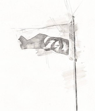 Polonya, izole edilmiş arkaplan resimlerine bayrak sallıyor.