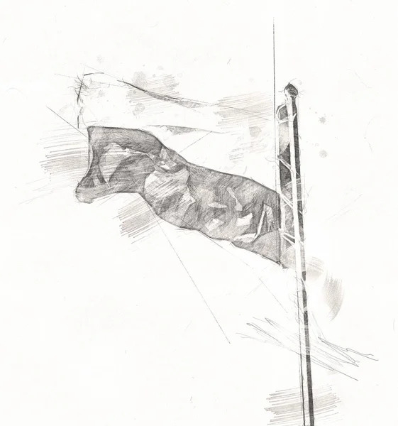 Πολωνία Κυματίζει Σημαία Απομονωμένη Απεικόνιση Τέχνης Υποβάθρου Σχέδιο Vintage — Φωτογραφία Αρχείου