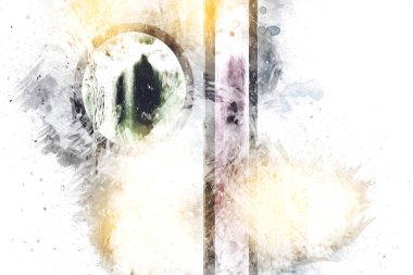 soyut renk tasarımı sanat illüstrasyonu