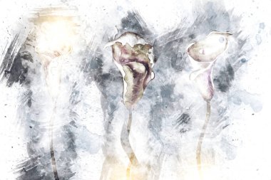 Resim resimli klasik arkaplan