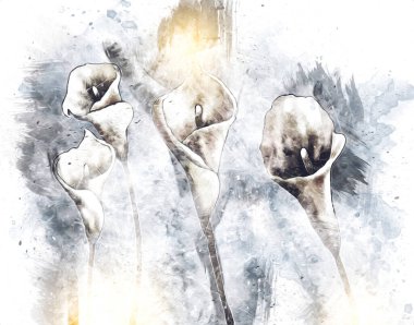 Resim resimli klasik arkaplan