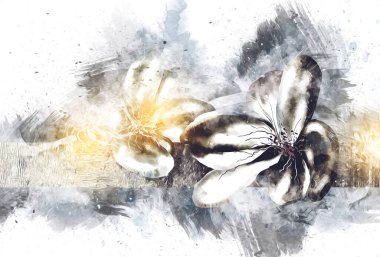 Resim resimli klasik arkaplan