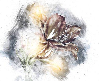 Resim resimli klasik arkaplan