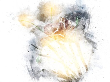 Resim resimli klasik arkaplan