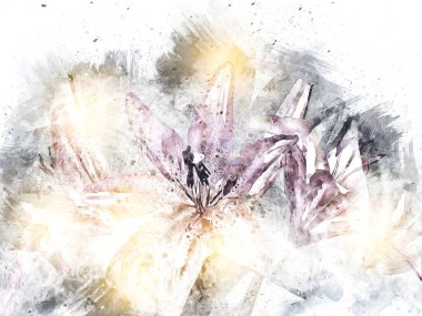 Resim resimli klasik arkaplan