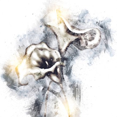 Resim resimli klasik arkaplan