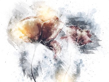 Resim resimli klasik arkaplan