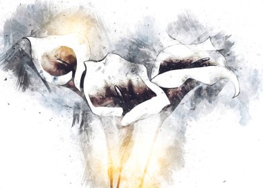 Resim resimli klasik arkaplan