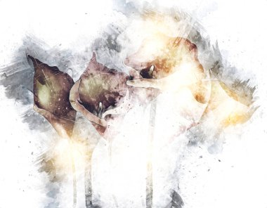 Resim resimli klasik arkaplan