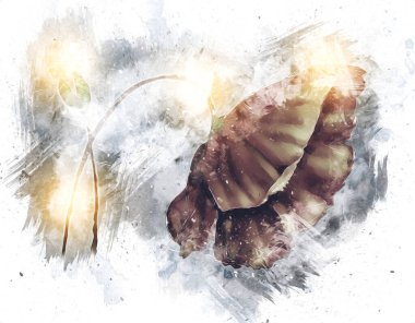 Resim resimli klasik arkaplan